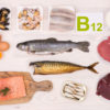 The Importance Of Vitamin B-12